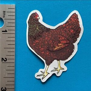 10/$10 Chicken Rooster Aesthetic Vinyl Sticker Waterproof Water Bottle Laptop
